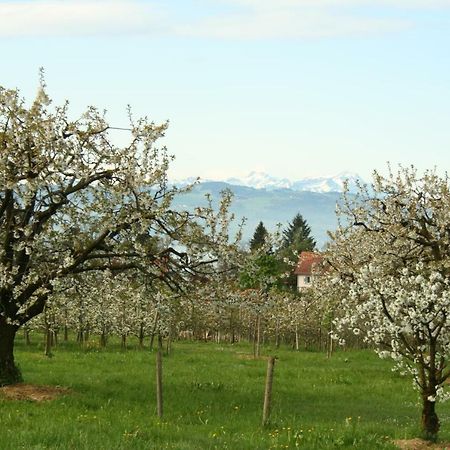 Villa Linke Am Bodensee Nonnenhorn Exteriér fotografie