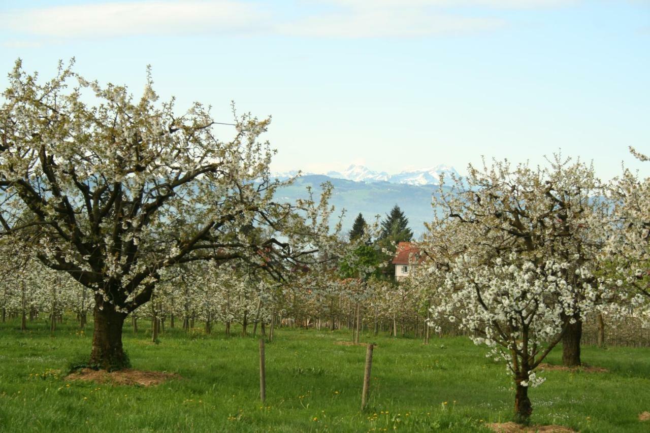 Villa Linke Am Bodensee Nonnenhorn Exteriér fotografie